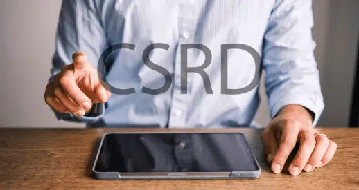 revisore della sostenibilità